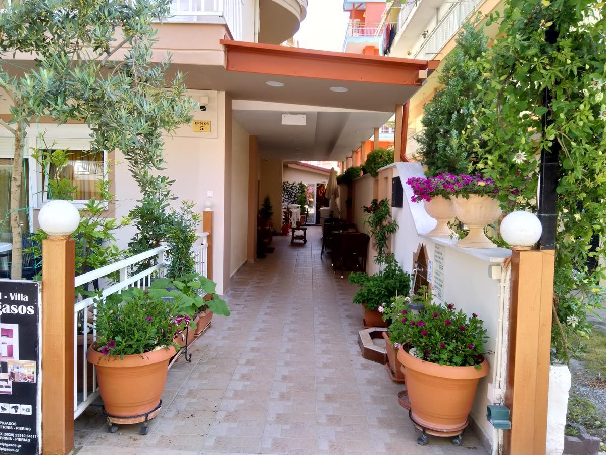 Hotel Villa Pigasos Paralía Exteriör bild